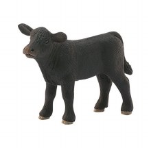 13880 SCH BLACK ANGUS CALF