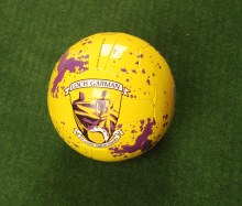 WEXFORD COUNTY FOOTBALL