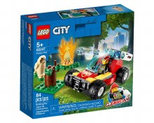 60247 CITY FOREST FIRE
