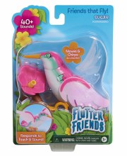 FLUTTER FRIENDS HUMMINGBIRD AS