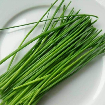 Organic Chives