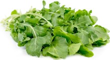 Arugula