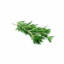 Organic Rosemary