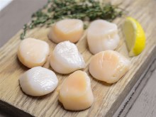 Dry Packed 10-20 Scallops