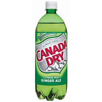 Can Dry Ginger Ale 1 Ltr