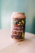 Graft Birds Of Paradise 4pk