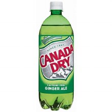 Can Dry Ginger Ale 1 Ltr