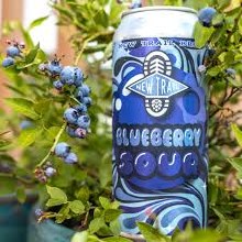 Nt Blueberry Sour 4pk