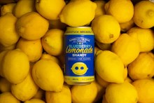 Saugatuck Blue Shandy 6pk