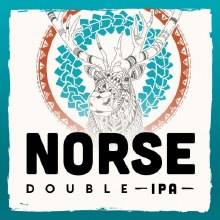 Vasen Norse Dipa 16oz 4pk