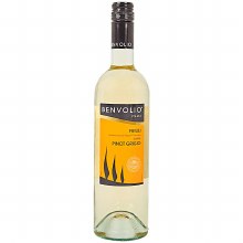Benvolio P Grigio