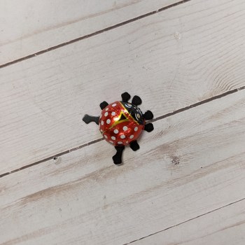 Storz Chocolate Ladybug - Small