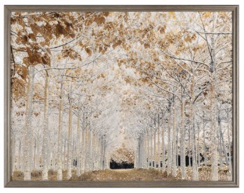 Tara Lane Picture Avenue of Trees