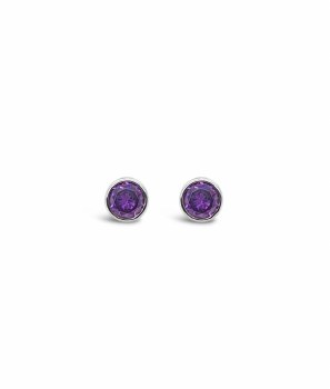 Absolute Jewellery Birthstone Earring February