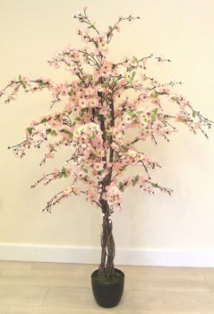 Blossom Tree Pink 5ft