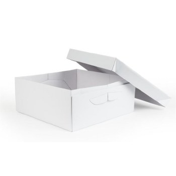 Cake Box 16"