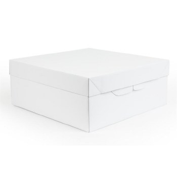 Cake Oblong 14x10"