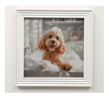 Grange Living Dog Bubble Bath  40*40cm