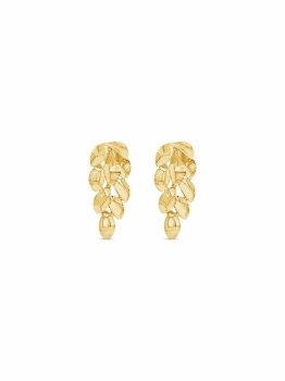 Absolute Jewellery Earrings Gold E2340GL