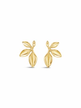 Absolute Jewellery Earrings Gold E2341GL
