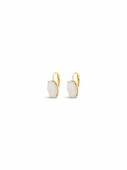 Absolute Jewellery Earrings Gold E2348WO