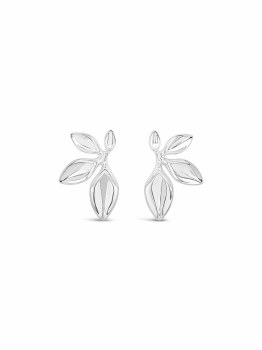 Absolute Jewellery Earrings Silver E2341SL
