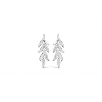 Absolute Jewellery Earrings Silver E2345SL