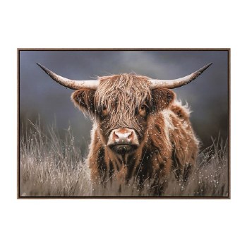 Sraits Highland Cow Art 102x72cm
