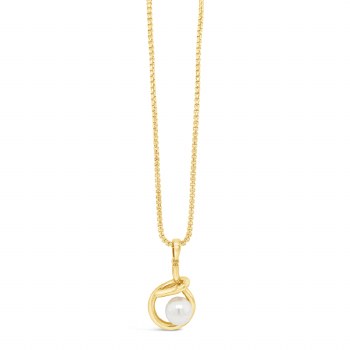Absolute Jewellery Necklace Gold N2389GL