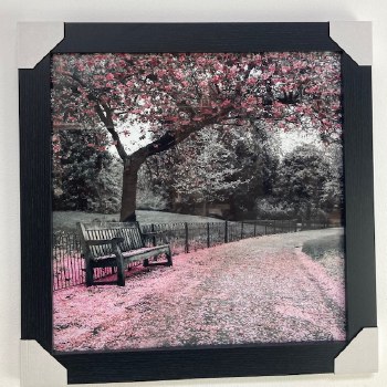 Pink Park Scene Frame 77 * 77cm