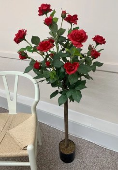 Red Rose Tree 4ft