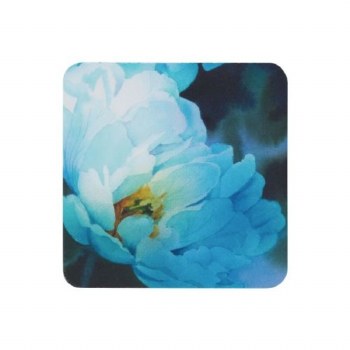 Denby Set of 6 Blue Flower Coasters