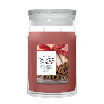 Signature Large Jar Sparkling Cinnamon