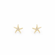 Tipperary Crystal Under The Sea Starfish Earring Mini