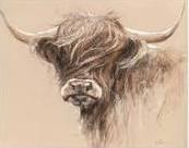 Highland Cow Painting 80x100cm