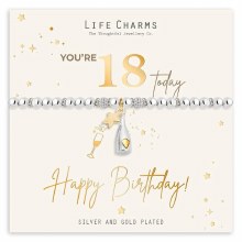 Life Charms Bracelet 18th Birthday