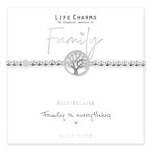 Life Charms Bracelet Family Is Everything