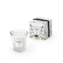 Tipperary Crystal Botanical Studio Bluebell Candle Bluebell Candle