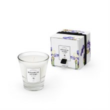 Tipperary Crystal Botanical Studio Bluebell Candle Iris Candle