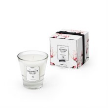 Tipperary Crystal Botanical Studio Bluebell Candle Magnolia Candle
