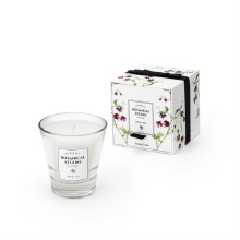 Tipperary Crystal Botanical Studio Bluebell Candle Sweet Pea Candle