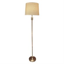 Tara Lane Dani Floor Lamp Gold