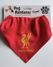 Dog Bandana Liverpool