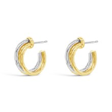 Absolute Jewellery Earring Gold E2410MX