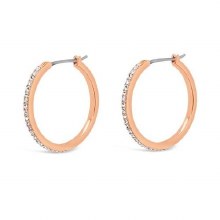 Absolute Jewellery Earring Hoop Rose Gold 25mm