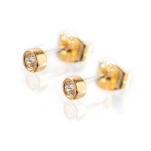 Newbridge Silverware Earrings Bezel Gold w/CZ