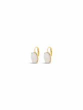 Absolute Jewellery Earrings Gold E2348WO