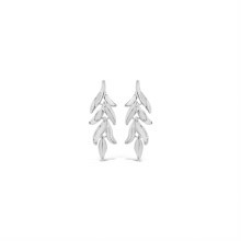 Absolute Jewellery Earrings Silver E2345SL