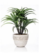 Grange Living Flower in Cream Pot 60cm