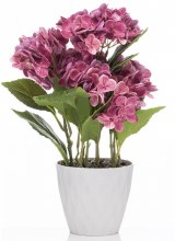 Grange Living Hydrangea in Pot Pink 35cm